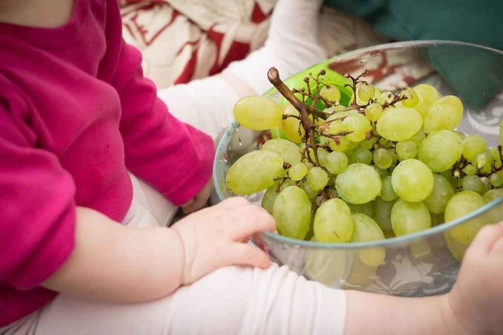 Alimentation saine pour le développement cognitif de l'enfant