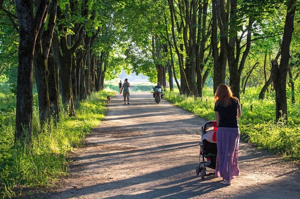 Partage des responsabilités parentales, trouver un terrain d'entente