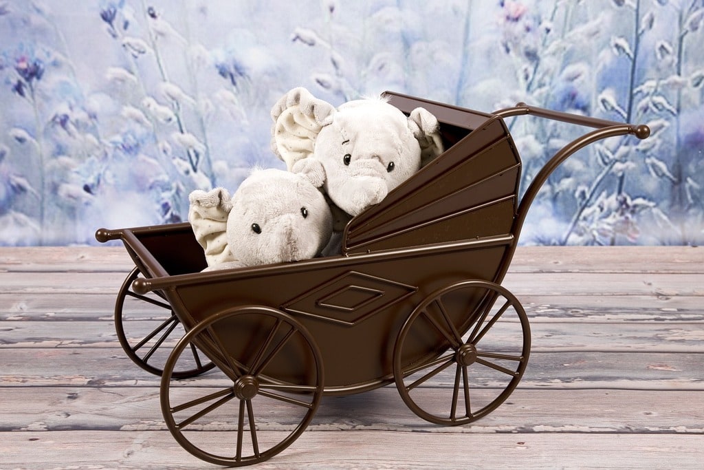 Top 5 des poussettes pour nouveaux parents